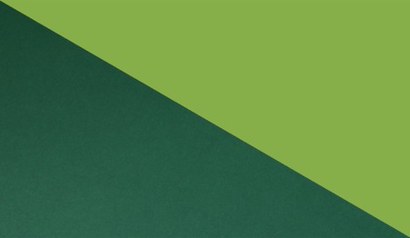 Greenery and green colored paper background.