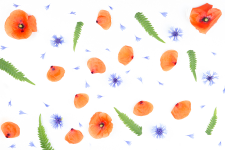 Red poppies, cornflowers and green fern leaves. Flat lay, top viewの写真素材