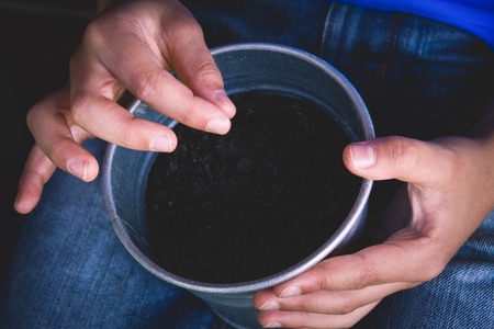 Child hand planting a seed in pot.の写真素材