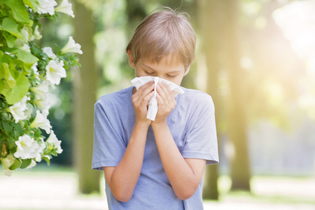 Allergy. Little boy is blowing his nose near tree in bloom.の写真素材