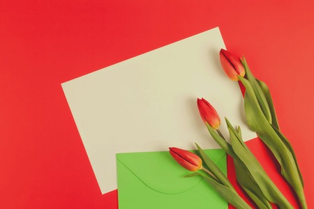 Flowers tulips and green envelope with white card on red backgroundの写真素材