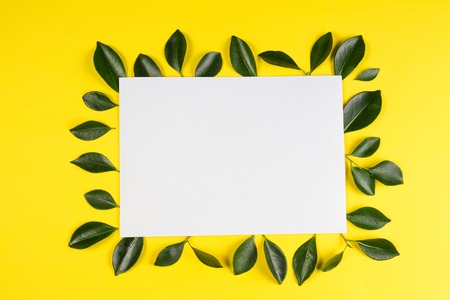 Green tree leaves frame with blank white card on yellow backgroundの写真素材