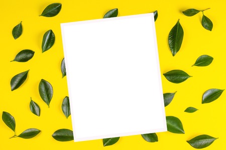 Green tree leaves and white blank frame for text or image on yellow background