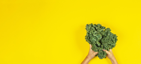 Hands holding bunch of kale leaves over yellow backgroundの写真素材