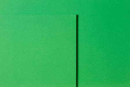 Abstract green monochrome creative paper texture background. Minimal geometric shapes and linesの写真素材