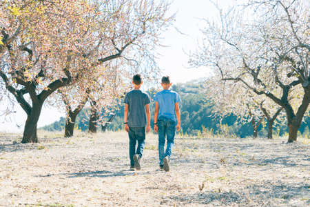 Kid walking in blossoming almond tree garden at sunny day in Spainの写真素材