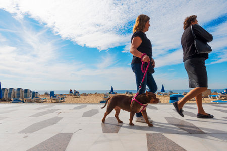 Benidorm, Spain - February 25, 2020: Women with dog walking on a sunny day in Levante beach area in popular spanish resort Benidorm, Alicante, Spainのeditorial素材