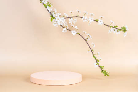 Geometric podium platform stand for product presentation and spring flowering tree branch with white flowers on pastel background. Front viewの写真素材