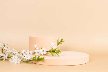 Geometric podium platform stand for product presentation and spring flowering tree branch with white flowers on pastel beige background. Front viewの写真素材