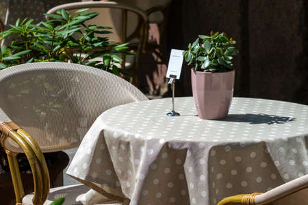 Empty table with polka dot tablecloth, flower pot and small blank white card, for information, qr code, digital menu. Outdoor terrace, cafe, restaurant in sunny dayの写真素材