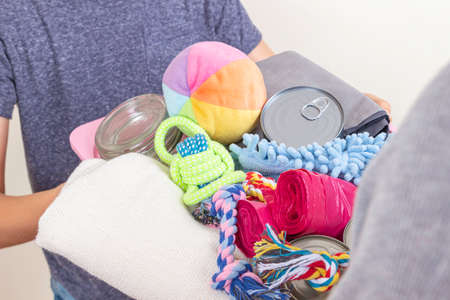 Animal shelter donations. Volunteer hands holding box with canned pet food, blankets, animal accessories and toys for animal shelters. Close upの写真素材