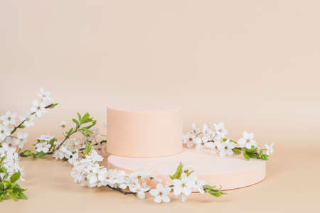 Geometric podium platform stand for product presentation and spring flowering tree branch with white...