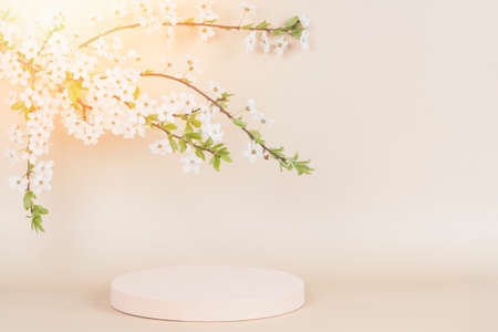 Round geometric podium platform stand for product presentation and blossoming spring tree branch with white flowers on pastel beige background. Front viewの写真素材