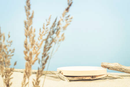 Round beige platform podium, dry tree twigs on white beach sand with dry bent plant in foreground. Minimal creative composition background for cosmetics or products presentation. Front viewの写真素材