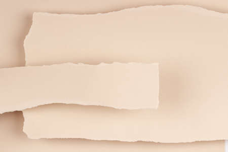 Torn paper textured collage background. Grunge ripped pastel paper pieces with ragged edge paper background. Top view, copy spaceの写真素材