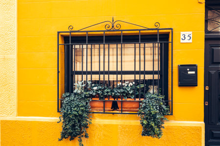 Window with decorative black iron bars overgrown with potted flower plants. Typical decorated window of classical style Spanish residential house. Finestrat old town street, Alicante province, Spainの写真素材