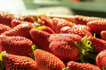 Organic and fresh strawberries in outdoors market in Spainの写真素材
