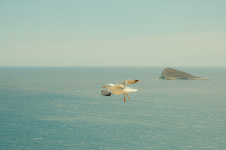 Benidorm island, Isla de Benidorm in Mediterranean sea, Benidorm, Alicante, Spainの写真素材
