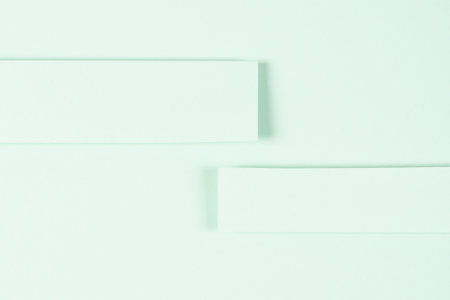 Light green paper background. Blank paper strips on pastel green background with shadows. Two...