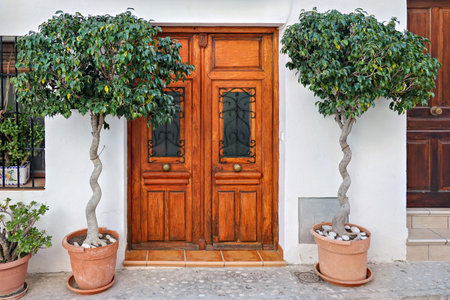 Entrance door of old classical whitewashed house decorated with potted tree plants. Typical street of small village in Spainの写真素材