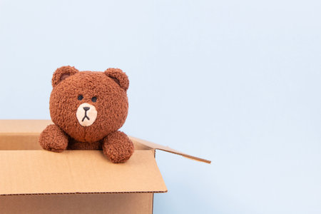 Sad plush toy teddy bear sitting alone in empty cardboard box. Front view