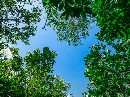 look up skyの写真素材