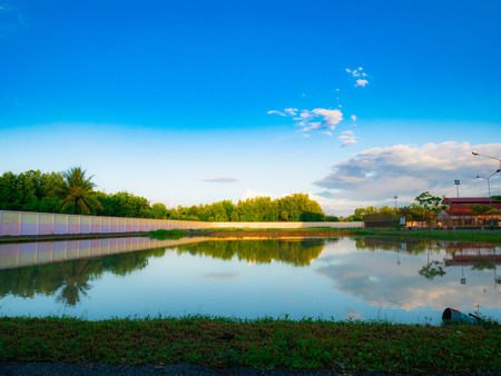 Sky in the swampの写真素材