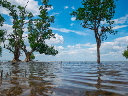 View from the water floor to the sea viewの写真素材