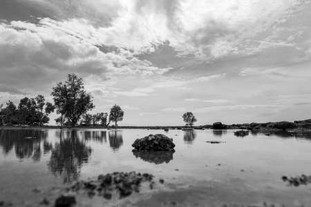 Spectacular views of the sea, trees and sky in southern Thailand in black and white.の写真素材
