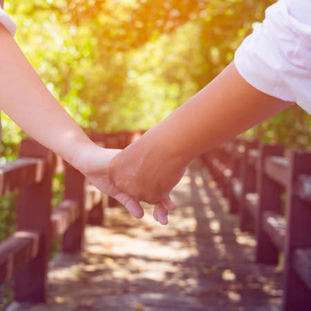 Hands of two lovers walking on a sidewalk in the mangrove forest. On vacation, wedding day or Valentine's dayの写真素材