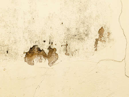 The wall surface that had been painted had started to peel off from the sun and rain as it was a...