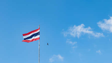 The Thai flag has red white and blue colors on the fabric. On the high pole, the wind blew the flag. sunlight shining clear sky A small bird flew by. There are beautiful bright cloudsの写真素材