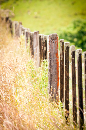 Weathered timber and wire fence with green grass paddocks New Zealandの写真素材