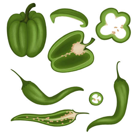 a set of elements from paprika and chilli pepper whole and cutの写真素材