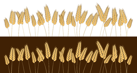 Bottom page wheat field design element. Vector. Isolated illustration.のイラスト素材