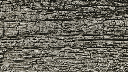 Old wooden board. Background.