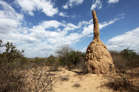 Termite mound in Africa - South Ethiopiaの写真素材