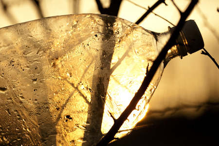 empty plastic bottle on the tree with sunsetの写真素材