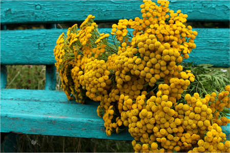 yellow bouquet on a turquoise benchの写真素材
