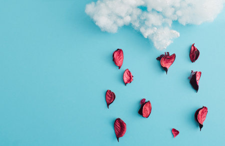 Rain delivered in the form of rose petals - artistic presentation. Blue background in harmony with other colors. Flat lay.の写真素材