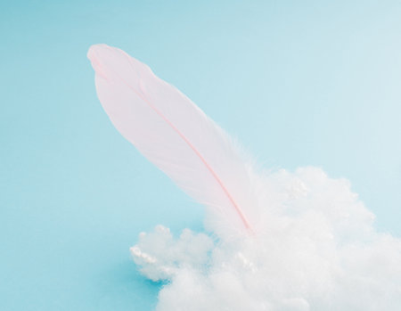 Pink feather in clouds. Pastel colors in harmony with blue background. Artistic composition.の写真素材