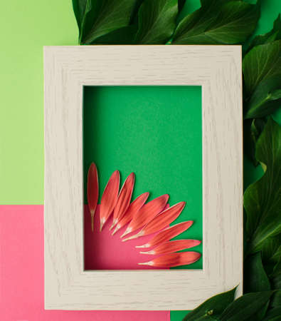 Floral frame with pink flowers and green leaves on pink and green background. Abstract conceptの写真素材