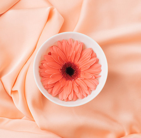 Pink gerbera on pink fabric.  Romantic background. Flat lay.の写真素材