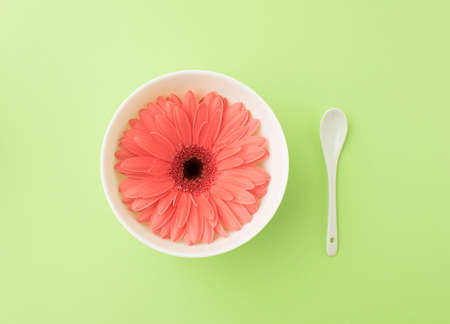 Pink gerbera like meal you can eat with white spoon. Green background. Flat lay.の写真素材