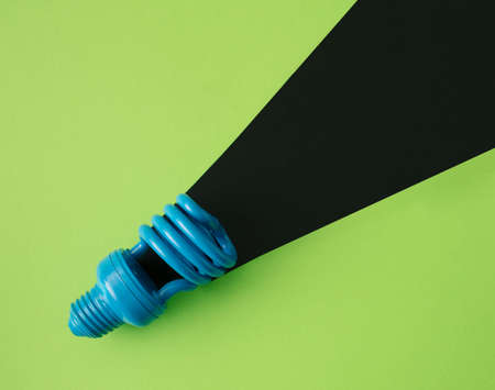 Blue lightbulb and black ray on green background. Hipster concept. Flat lay.