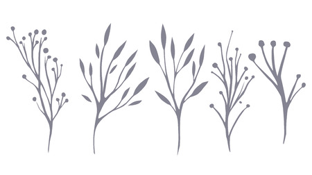Vector set of delicate leaves and herbs for your creativityのイラスト素材