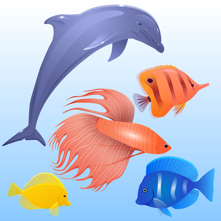Vector set of tropical fish, dolphins and fish-rooster for your creativityのイラスト素材