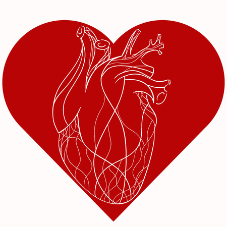 Vector illustration of realistic stylized heart in red heart. Vector element for your creativityのイラスト素材