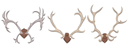 Set of different deer antlers. Vector element for your designのイラスト素材