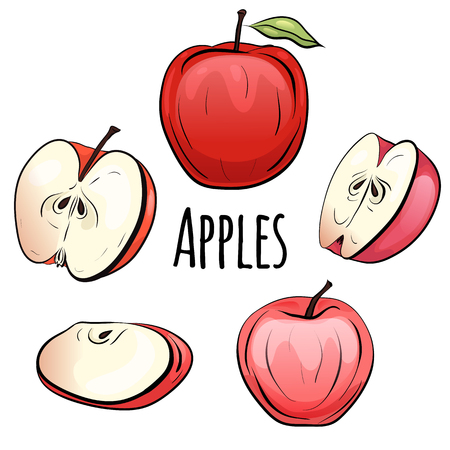 Set of cartoon red apples of different shapes on a white background. Objects separate from the background. Vector element for menu design, recipes, childrens books and your creativityのイラスト素材